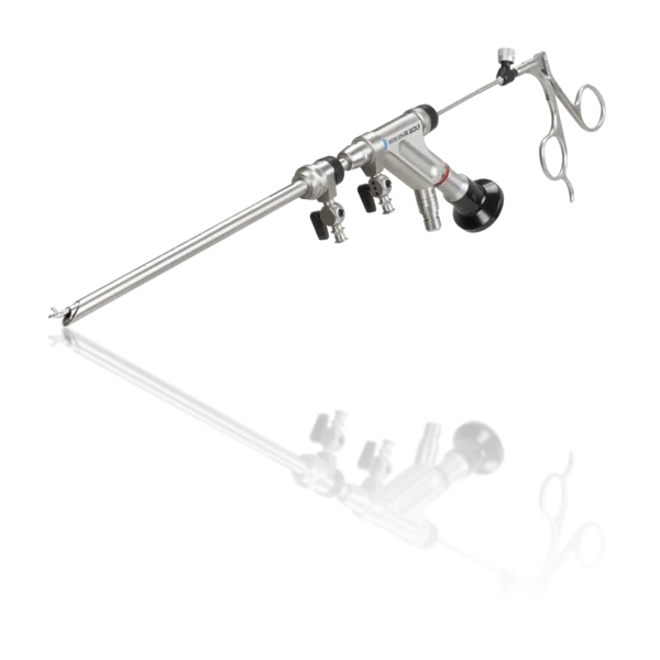 Photograph of the endoscopic instrument used for facet joint denervation
